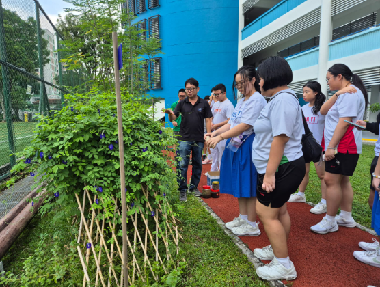 Environmental Education Picture